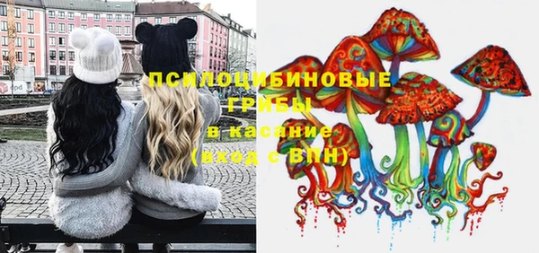 мяу мяу кристалл Богданович