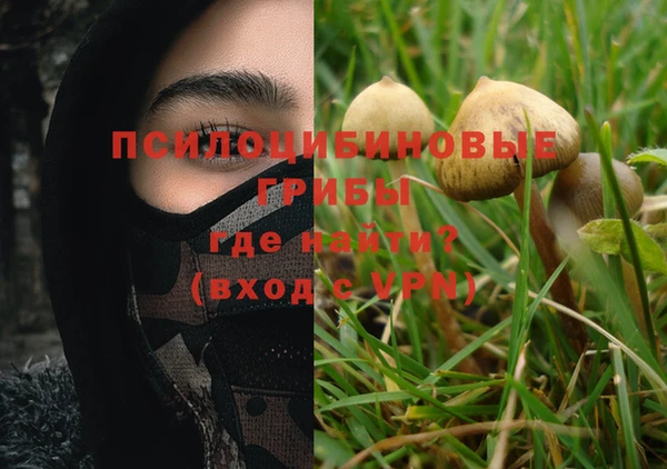 ПСИЛОЦИБИНОВЫЕ ГРИБЫ Белоозёрский