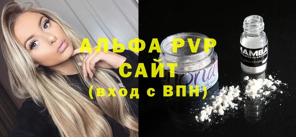 круглые Белокуриха