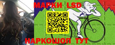 спиды Владимир