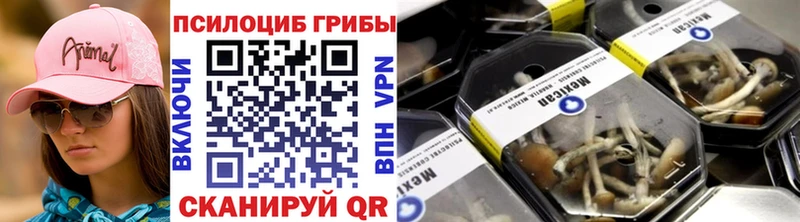 Псилоцибиновые грибы мухоморы  купить  сайты  Богородицк 