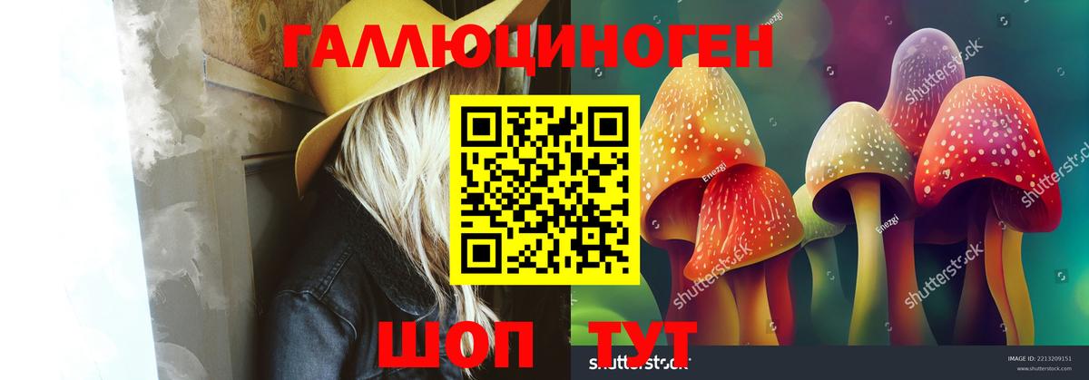 Галлюциногенные грибы Cubensis Богородицк