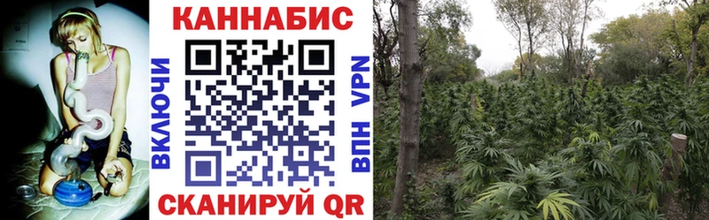 купить наркотик  Богородицк  Канабис гибрид 